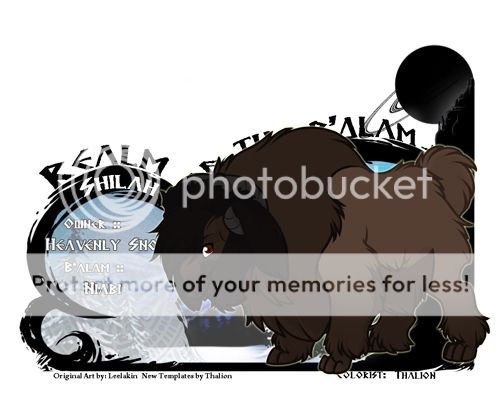 User Image